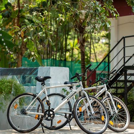 Villa Barbosa, 2 Bhk Villa & Luxury Rooms Near Colva, Sernabatim, Benaulim Beach المظهر الخارجي الصورة