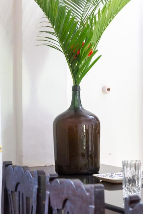 Villa Barbosa, 2 Bhk Villa & Luxury Rooms Near Colva, Sernabatim, Benaulim Beach المظهر الخارجي الصورة